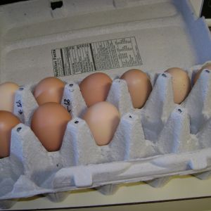 First eggs Dec 28, 2012