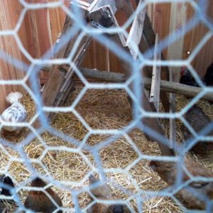 ladies are checking out the new digs..