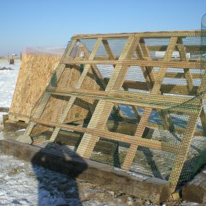 A closer look at the coop and the run.  We still need to put the shingles on, cut the fencing back where it is sticking up.  The ground was too hard to dig down so we have put rocks and railroad ties to deter any predators.  The chickens are enclosed at night and during the day my black lab wonders the 2 acres that are totally fenced in so hopefully predators won't be a problem, we will see.  It looks rough but it is a work in process...