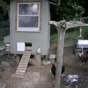 Grandpa's feeder in the background is the best money I spent. Water proof and bird and vermin proof.  We don't have big pests in New Zealand to worry about.