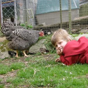 Ben and Josephine who hatched our first posted fertile eggs.