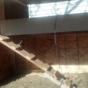 It geta cold and snows here so we left the bottom as dirt and decided to just put the ladder inside since they hate coming out in the snow