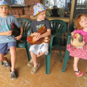 My three pets with their three pets.