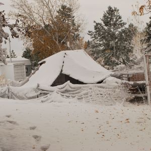 Snow Tent! The bird netting held the snow really well and collapsed in many places.