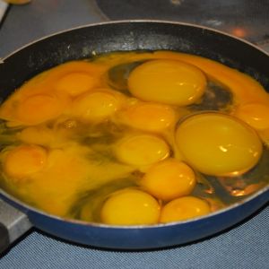 eggs to scramble for the chickens. We didn't know exactly how long the goose eggs were out there. The chicken eggs either had hairline cracks or were the yolks leftover from needed egg whites.