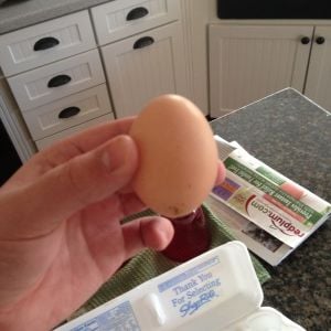 Finally got our first egg!!!!!!