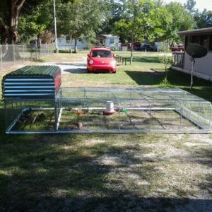 First chicken tractor sled