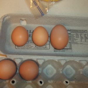 The eggs we got for 2 days.