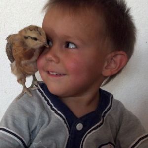 Son Tobias with 1st chicken named Blue