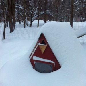 A-frame, winter 2012-2013