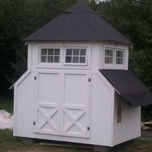 Our half finished Chicken Coop. I will post a finished one when the snow melts.