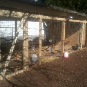 Our coop. Our girls are spoiled !