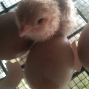 So sweet
