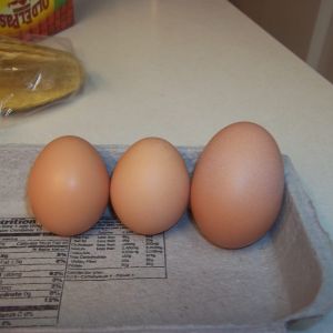 The 3 eggs we got in one day.