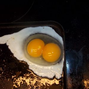 The big egg was a Double-yolker!