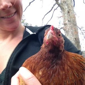 One of our new birds.  I really am not sure of the breed but she laid the white egg we are incubating.