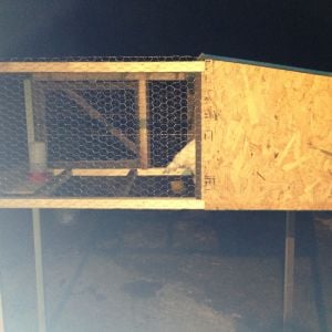 Our first coop is now too small so we are currently building a 10 foot long coop.  Will post those pictures soon.