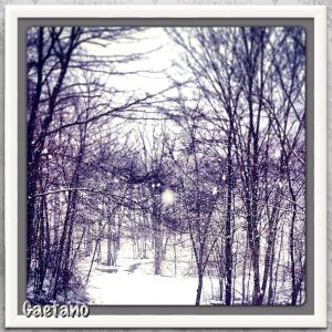 2/9/13 Snowstorm Pic