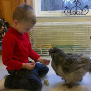 Lucas playing with Blu