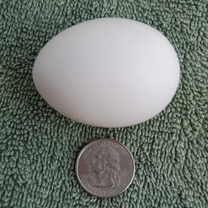 Jaerhon egg