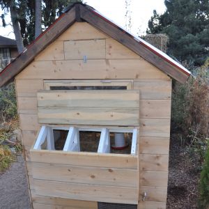 Nesting boxes.  Since this photo was taken, I have move the door for the nesting boxes from the top to the side.