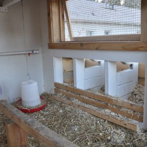 Interior photo with nesting boxes, food, and automatic water system