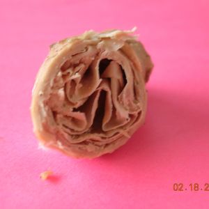 inside egg tissue rolled up