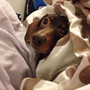 Caught on the spare bed!!!