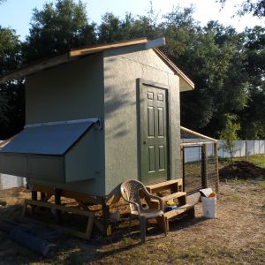 Our Coop..