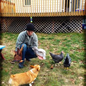 Mr. Bear bringing the girls out back. Now that the winter has passed and they're old enough, they live outside full-time. Though I do miss the clucking in the living room. It's so quiet...