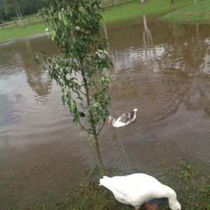 Leo with his new bride Claire :-)