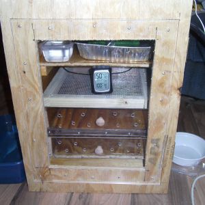 two drawer hatcher
