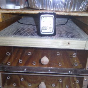 two drawer hatcher