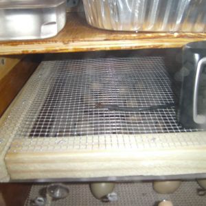 two drawer hatcher