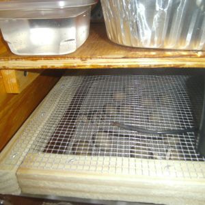 two drawer hatcher