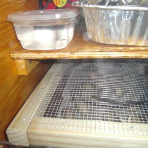 two drawer hatcher