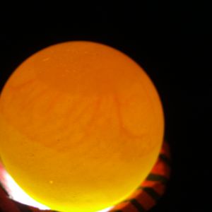 quail egg one week in incubator candling