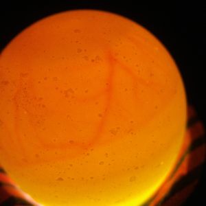 quail egg one week in incubator candling