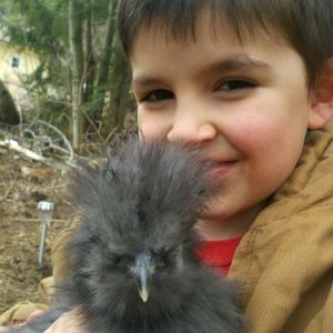 My son and his pride and joy. His silkie roo Fuzzy.