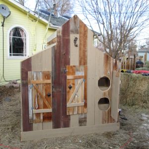 Extra Large Coop