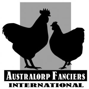 Jahdan is a founding member of the Australorp Fanciers International.