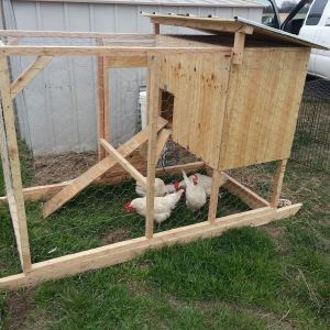 My friends new coop that I built for him and his new hens ! A rewarding sight!