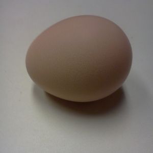 my first egg