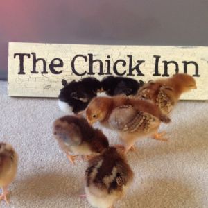 Their barn sign
