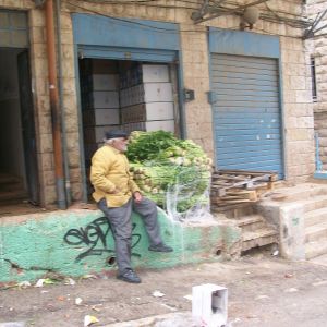 a wild type of artichoke that is used in ethnic morrocan dishes, brought early in the morning just when the market opens; my friend and i caught them offloading the hushof, and we bought a whole lot before it even got to the market itself.
