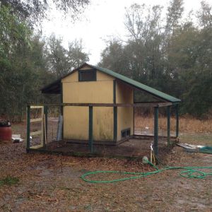 Referb'ing an existing coop.  It was well built to start with and only needed new fencing and a new gate.