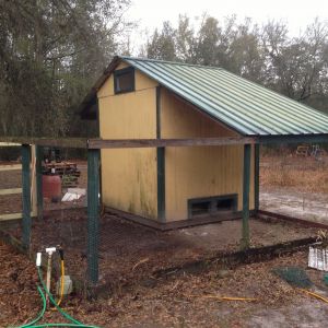 The original design had wire fencing over the top of the run.  That was removed.