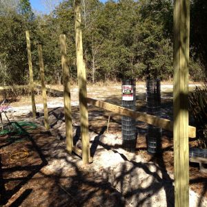 So the wife says "I think I want to put guineas in with the chickens this time.  They make great guards and it will be fun.  Oh and they fly."  Uhuh..... So flying birds are going to get really bored in that small run I am thinking.  "What if we build an aviary over the coop?"  Says the guy who has never built an aviary before.......
