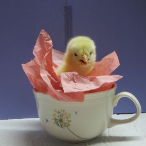 "Hey! Get me outta here!"