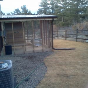 View upon entering the Chicken Yard!  Just laid sod for my girls to munch this summer.  Notice the drain for the roof.